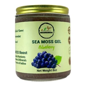 Blueberry Sea Moss Gel - Natural