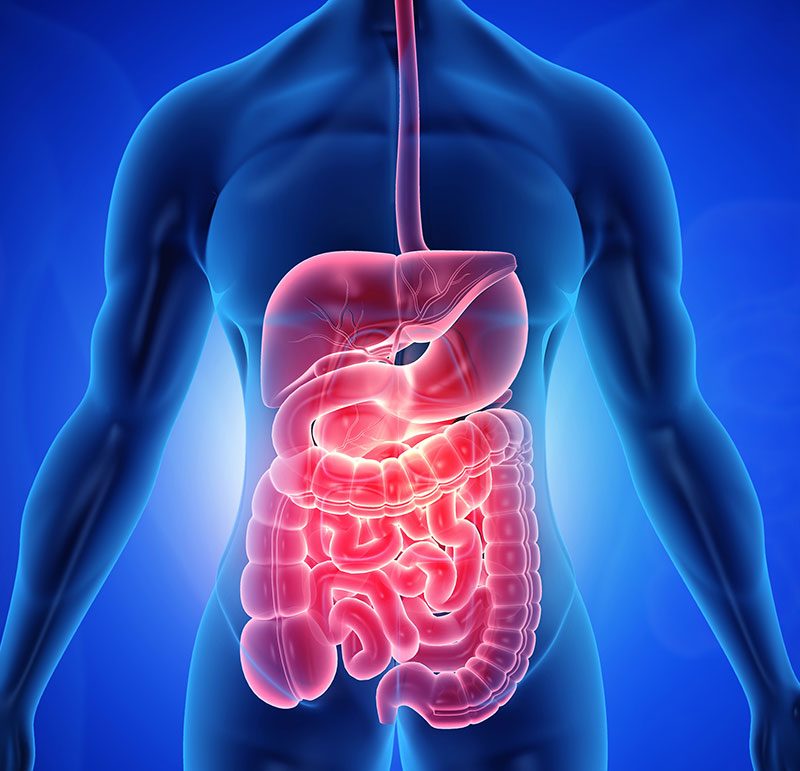 purple sea moss benefits