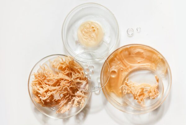 sea moss trend
